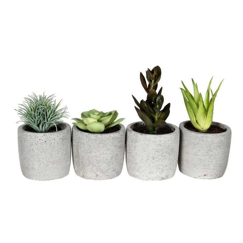 6'' Faux Succulent Plant in Ceramic Pot