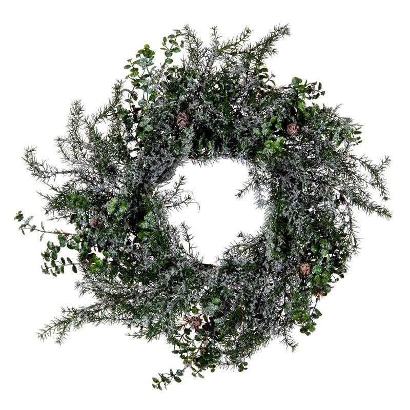 Vickerman 26" Artificial Green Snow Cedar and Eucalyptus Christmas Wreath, Unlit