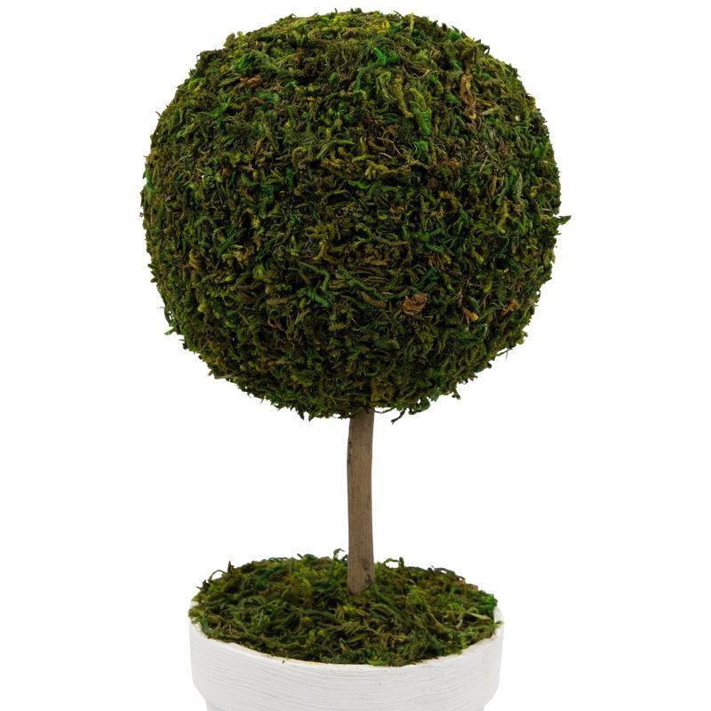 Northlight Seasonal Green Reindeer Moss Ball Potted Artificial Spring Topiary Tree