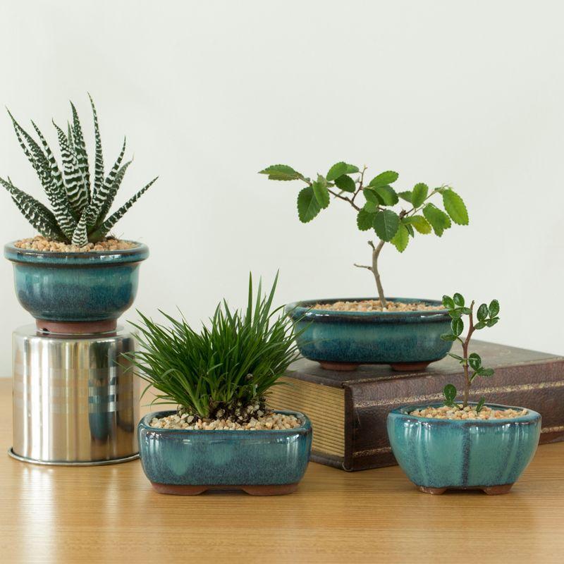 Mini Blue Glazed Ceramic Bonsai Succulent Planters, 4 Pack