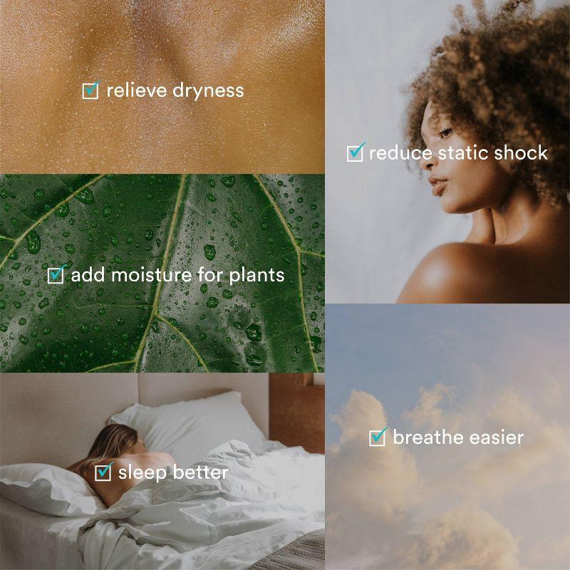 HoMedics Portable Ultrasonic Humidifier Black: Travel & Personal Cool Mist for Small Rooms, USB & Battery Powered, No Filter Needed