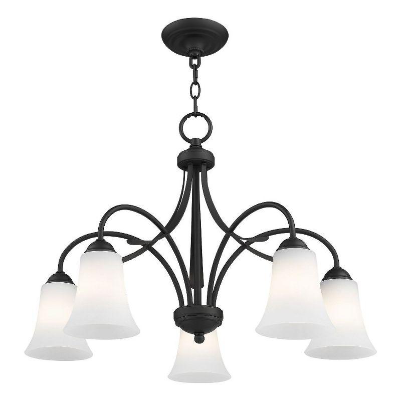 Satin Opal 5-Light Chandelier in Black with Hand Blown Glass