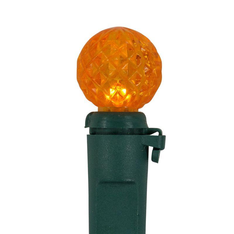 Northlight Seasonal LED G12 Berry Christmas Lights - 16' Green Wire - 50 Ct