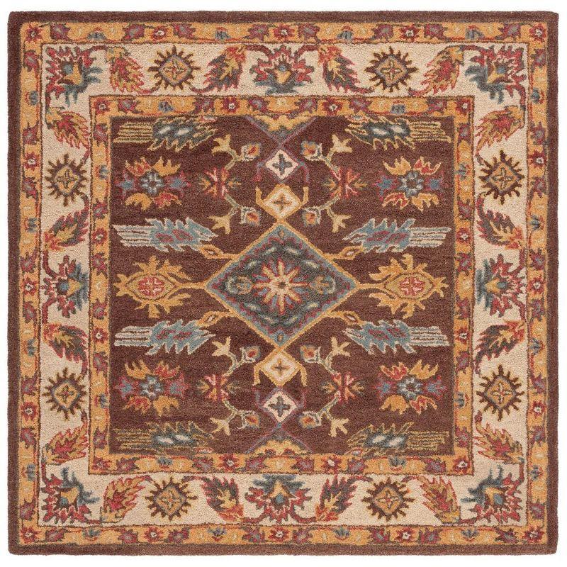 Antiquity AT502 Hand Tufted Area Rug - Dark Brown/Ivory - 6'x6' - Safavieh.