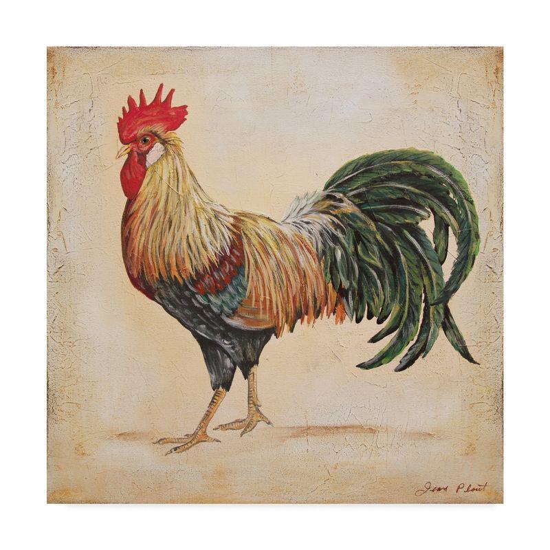 Trademark Fine Art Jean Plout " Rooster 3 " by Jean Plout
