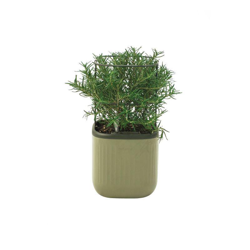 Mini Plastic Outdoor Pot Planter with Trellis