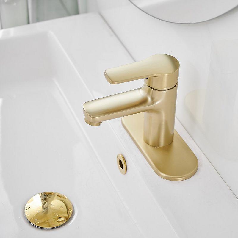 Single-Hole Single-handle Bathroom Faucet with Drain Assembly