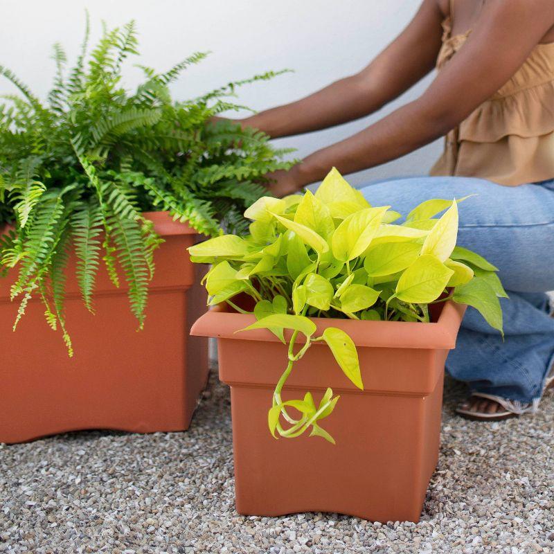 Veranda Square Terra Cotta Clay Planter for Indoor & Outdoor, 11 in.