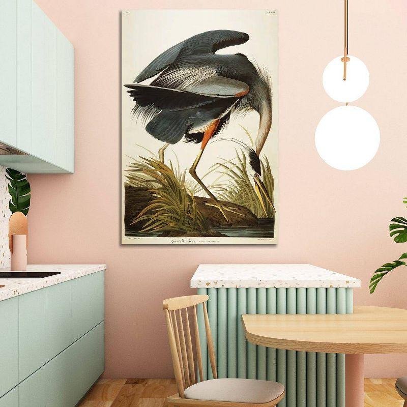 Great Blue Heron Fine Art Giclée Canvas Print