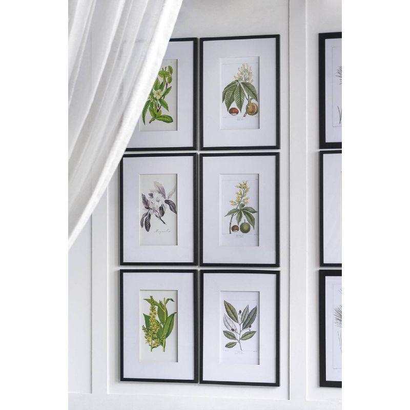 Set of 2 Smithsonian Fruit Framed Wall Arts - A&B Home: Transitional Decor, Vertical Orientation, Includes Mounting Hardware