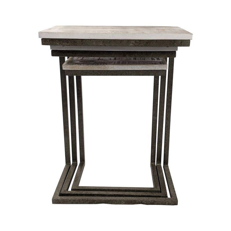 Carolina Living Addison Nesting Table Set Natural Driftwood/Aged Iron: 3-Piece, Solid Mango, Metal Frame, No Assembly Required