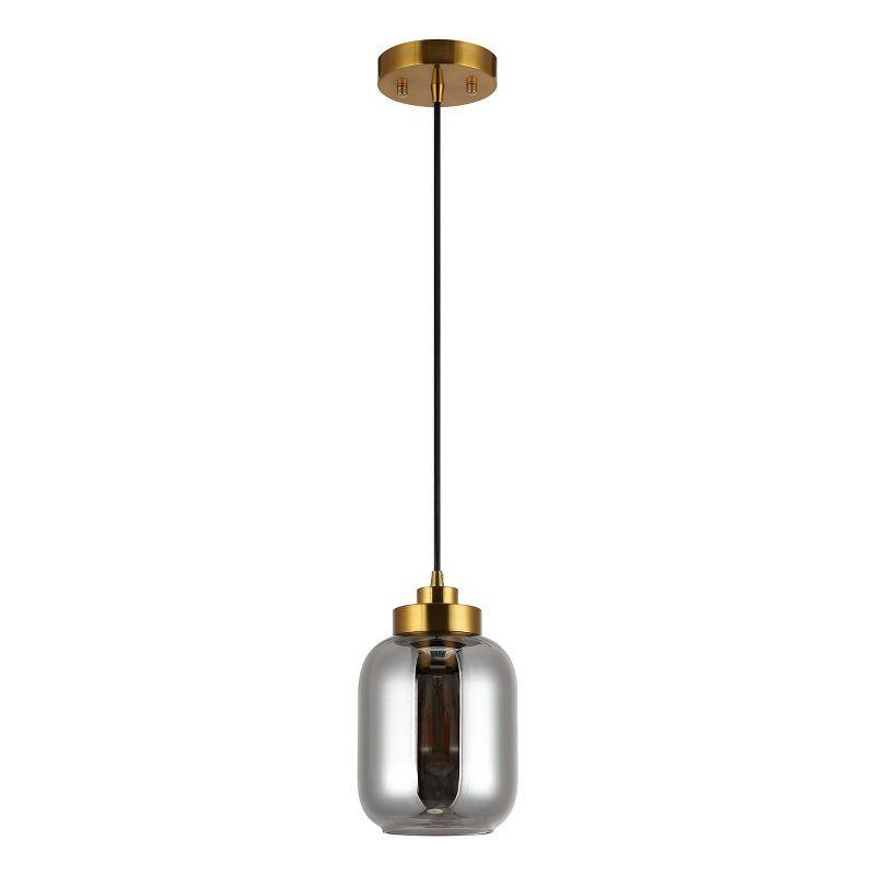 Ethyx 6" Gold and Smoke Grey Glass Pendant Light