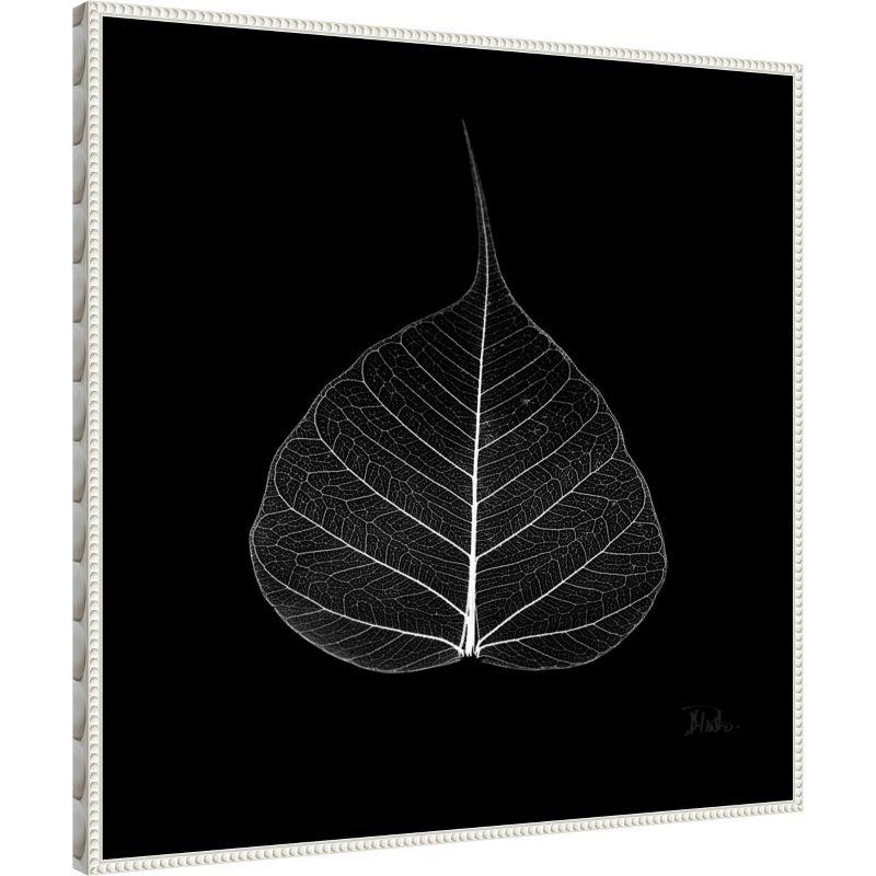 Amanti Art Minimalist Leaf on Black I by Patricia Pinto Canvas Wall Art Print Framed 30 x 30-in.