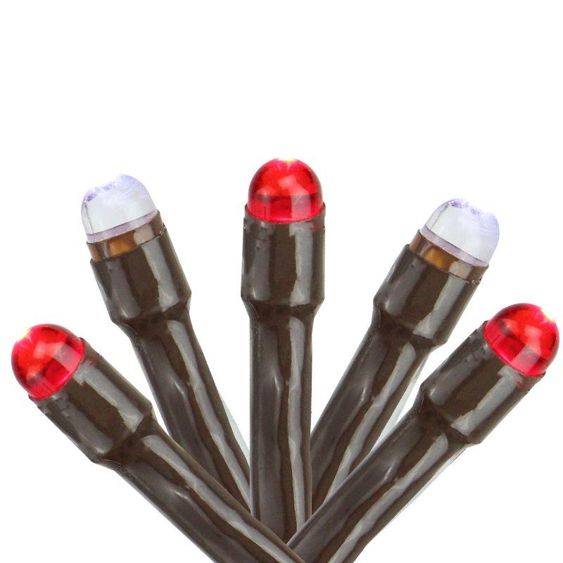 Northlight Seasonal 2' x 8' Red and White Micro LED Net Style Tree Trunk Christmas Lights Brown Wire