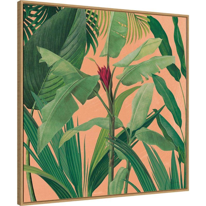 30" x 30" Dramatic Tropical I Boho by Sue Schlabach Framed Canvas Wall Art Print - Amanti Art: Modern Decor, Polystyrene Frame