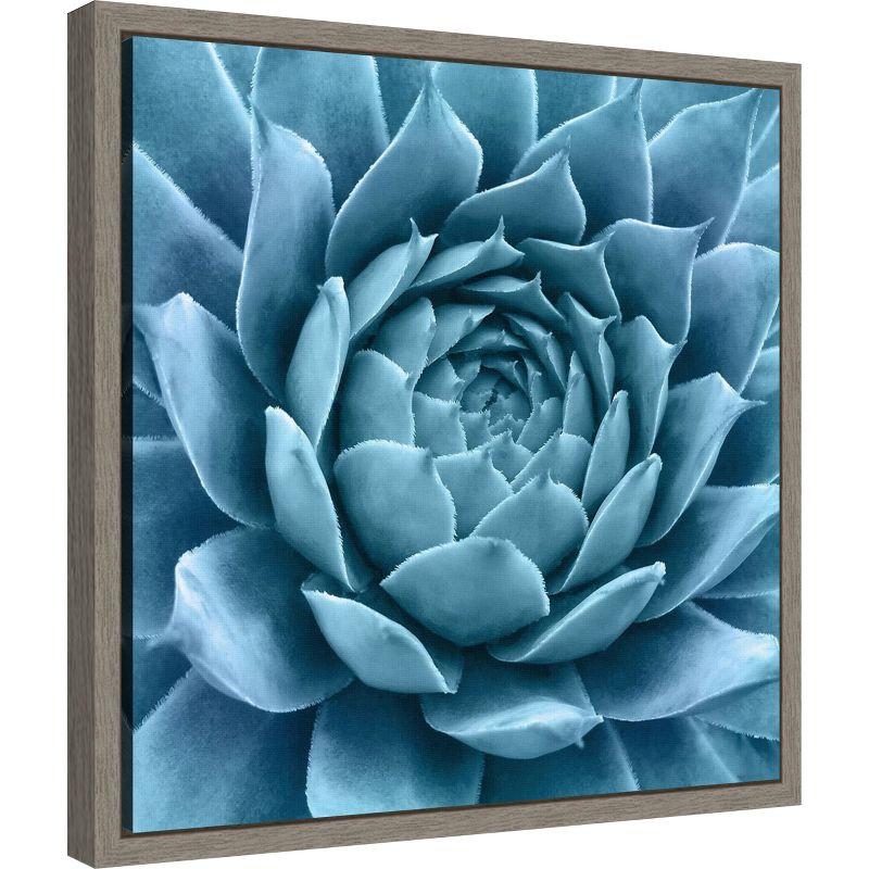 Amanti Art Silvery Blue Agave by Jan Bell Canvas Wall Art Print Framed 16 x 16-in.