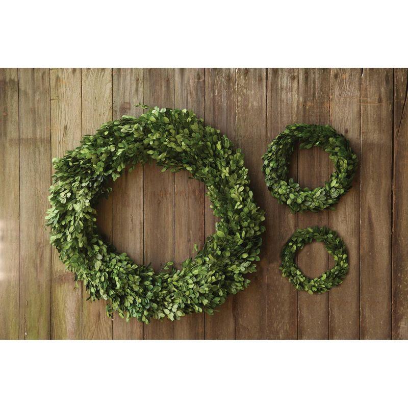 Storied Home Preserved Genuine Boxwood Wreath Green