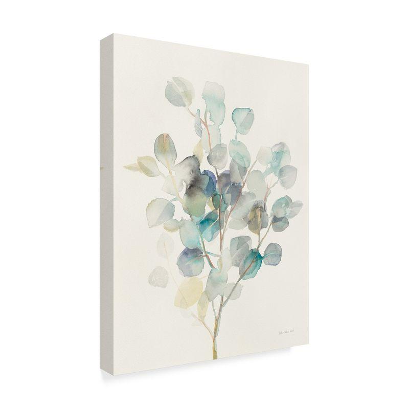 Eucalyptus III Multicolor Floral Canvas Art Print