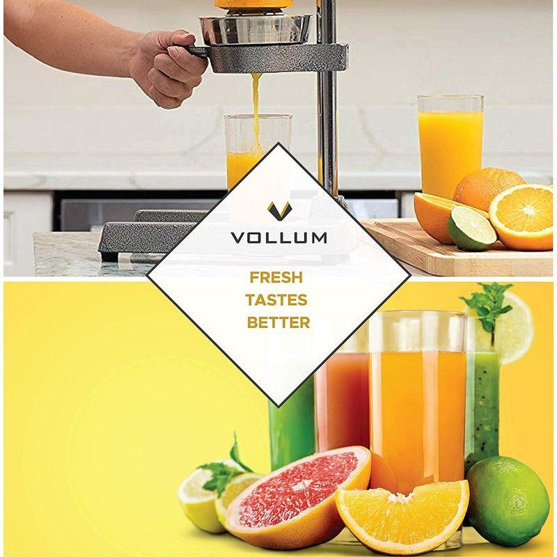 Gray Stainless Steel Manual Citrus Juicer with Non-Skid Base