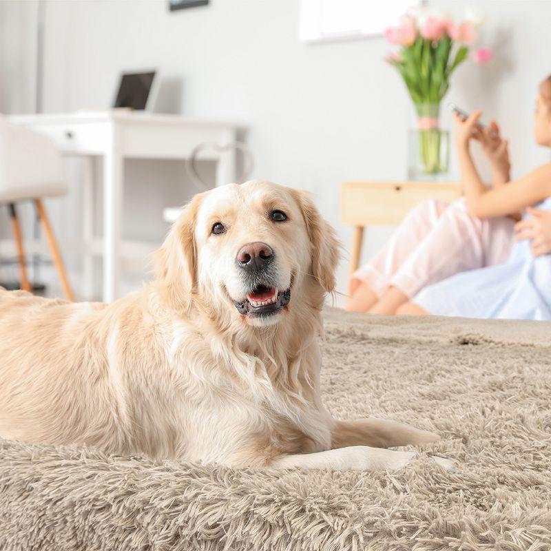 Faux Fur Sherpa Pet Blanket