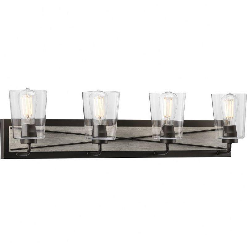 Progress Lighting Briarwood 4-Light Bath Vanity in Graphite with Clear Glass Shades