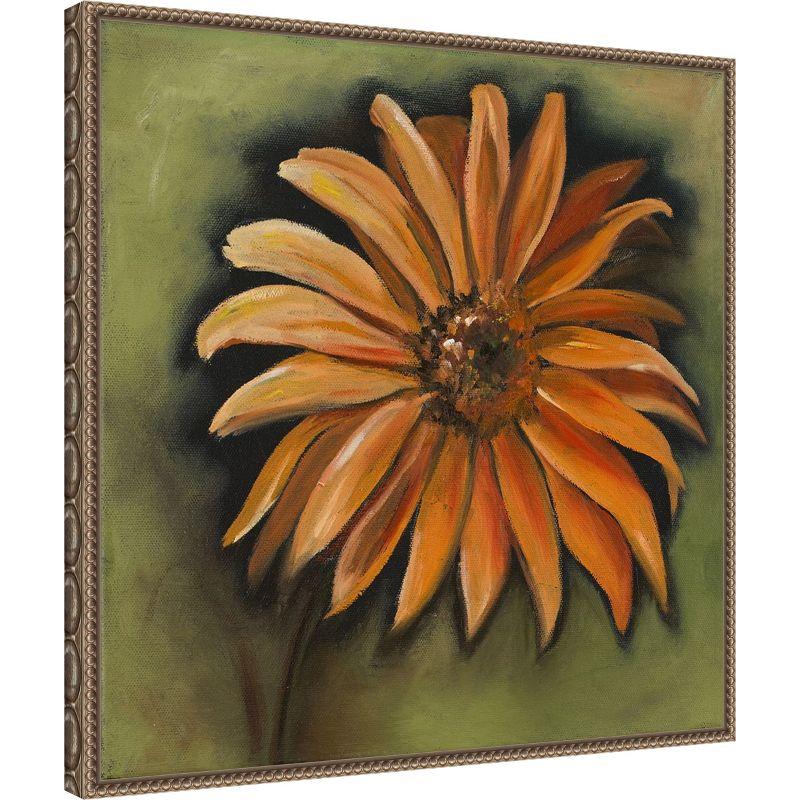 Amanti Art Daisy Collections III by Nelly Arenas Canvas Wall Art Print Framed 22 x 22-in.