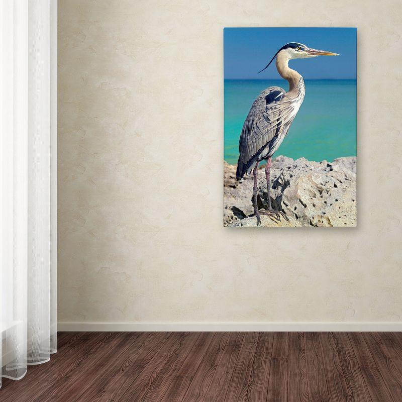 Trademark Fine Art -Mike Jones Photo 'Blue Heron' Canvas Art