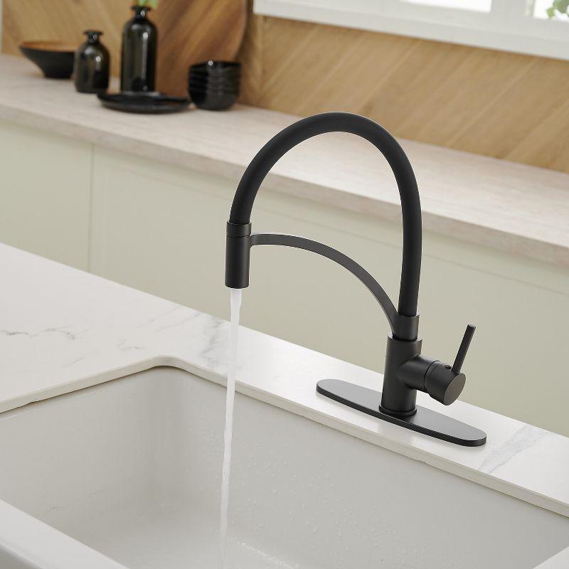 Pull Down Single Handle Kitchen Faucet with Accessories