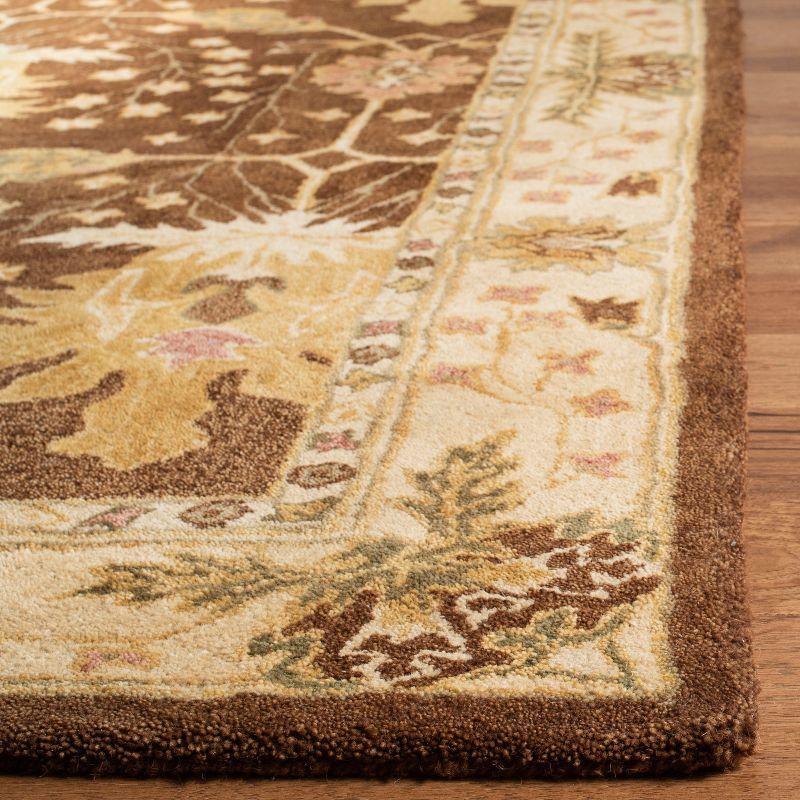 Anatolia AN540 Hand Tufted Area Rug  - Safavieh