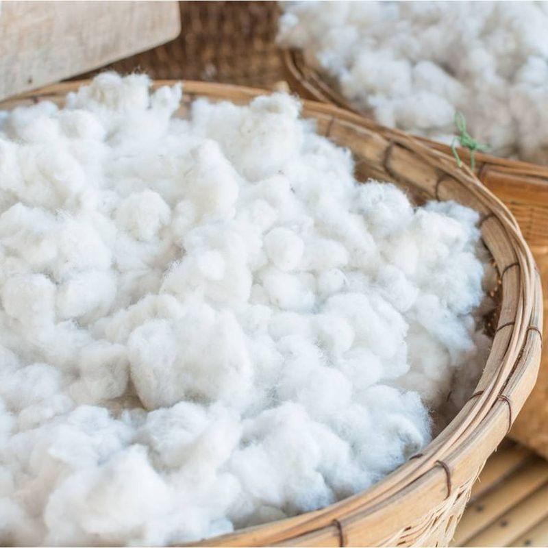 Organic Dream Greenguard Gold Certified 2 Stage Standard Crib/Toddler Rectangle Mattress