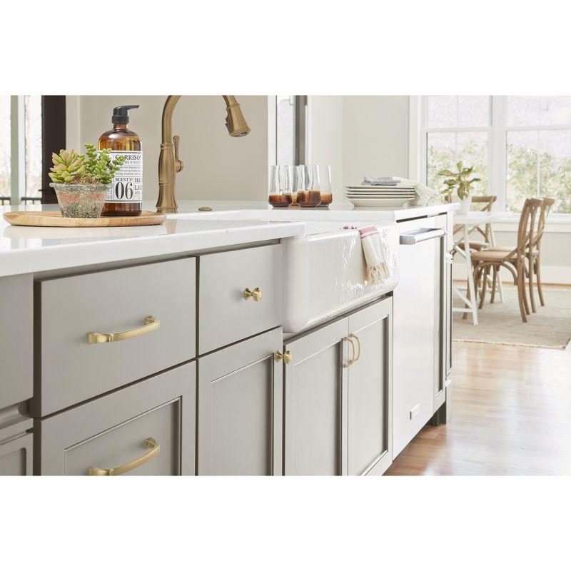 Amerock Revitalize Cabinet Door or Drawer Pull