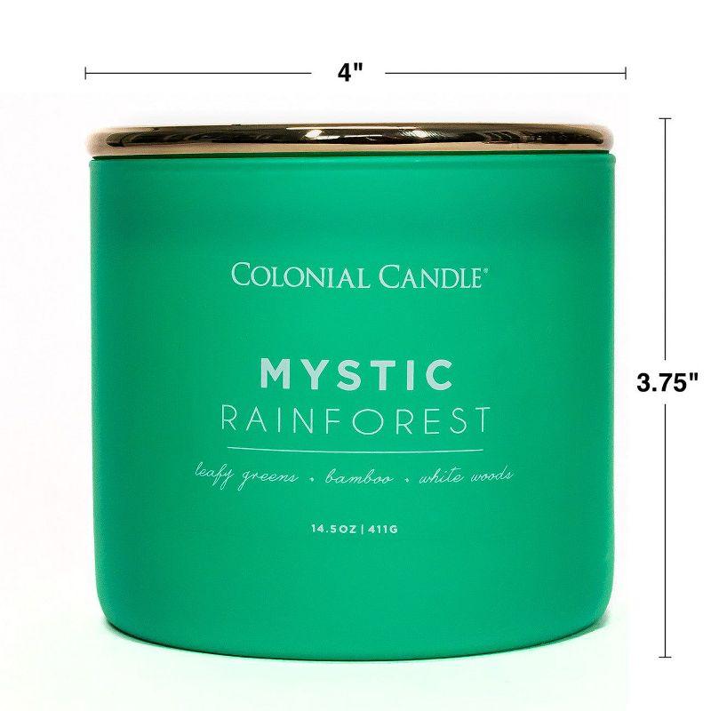 Pop of Color 3-Wick Mystic Rainforests Scented Jar Candle 14.5oz - Colonial Candle