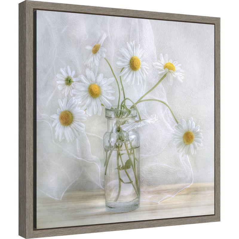 Amanti Art Daisies by Mandy Disher Canvas Wall Art Print Framed 16 x 16-in.