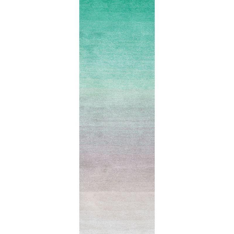 Nuloom Handmade Ombre Shag Shags Runner Indoor Area Rug - Turquoise 2' 6" x 8'