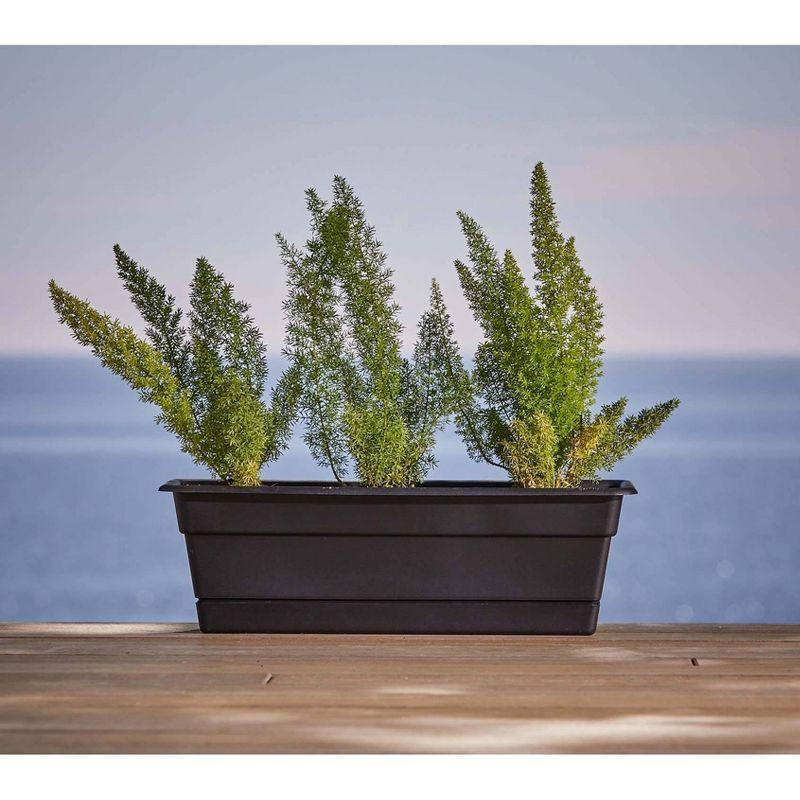 Bloem Rectangular Dura Cotta Window Box