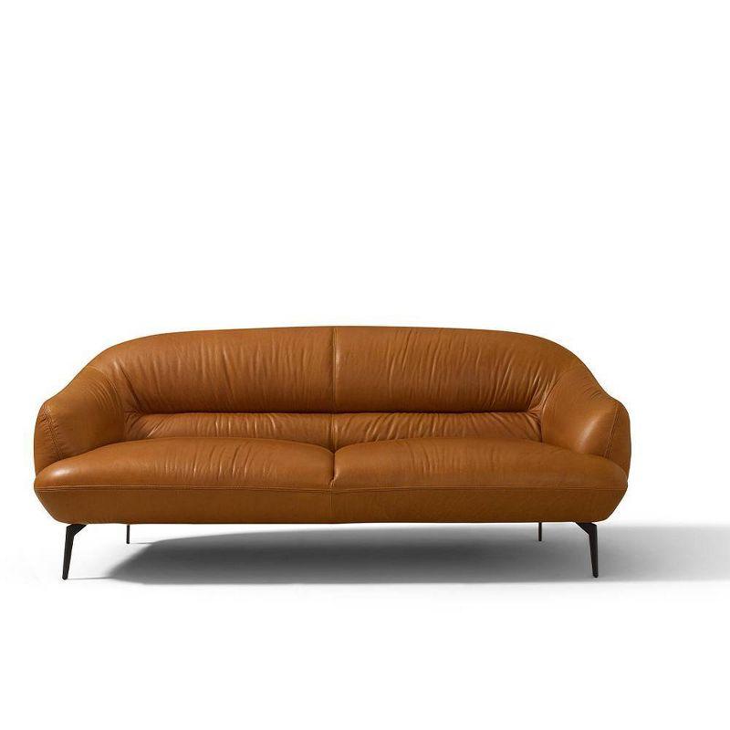 66" Leonia Sofa Cognac Leather - Acme Furniture: Contemporary Metal Legs, Plush Upholstery, Seats Four