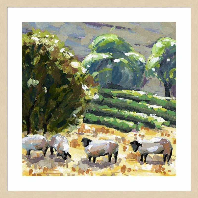 Amanti Art Sheep in Summer I by Melissa Wang Framed Wall Art Print