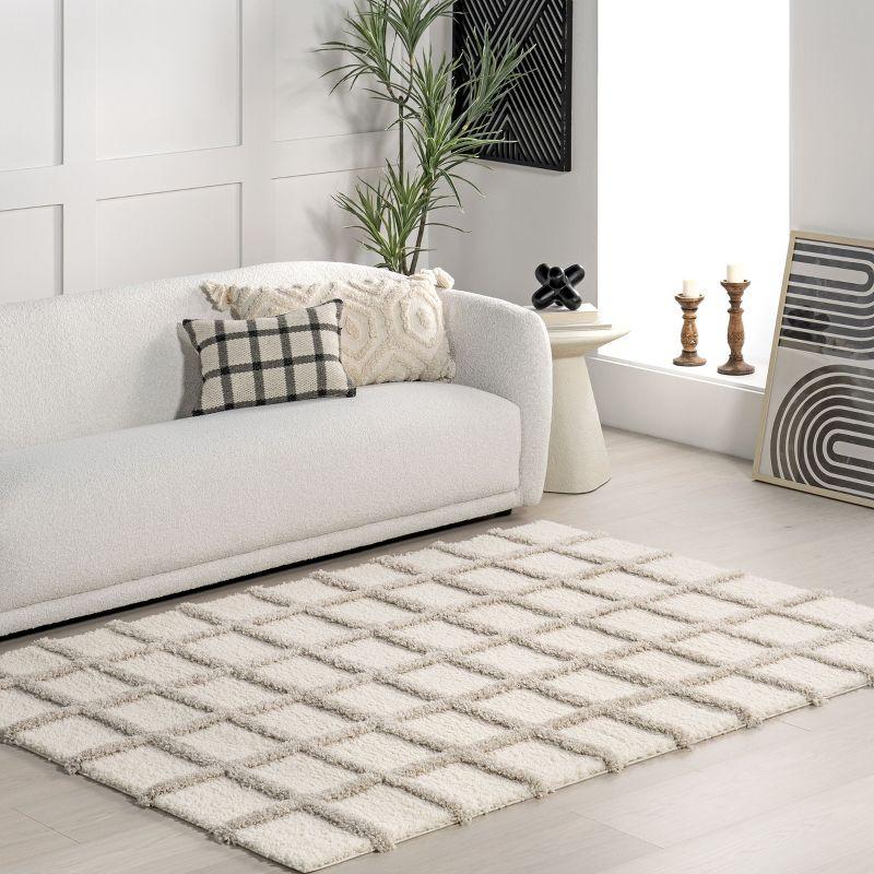 Nuloom Christabel Checkered High-Low Shag Indoor Area Rug