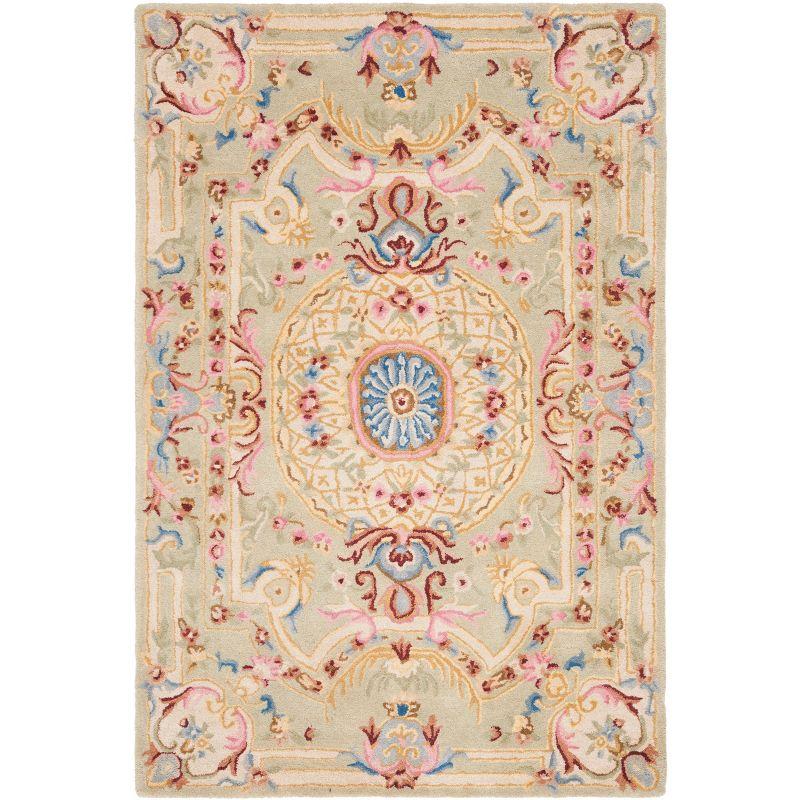 Savonnerie SAV120 Hand Tufted Area Rug  - Safavieh