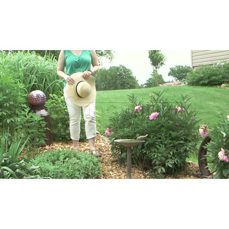 SunnyDaze Decor Ivy and Sage Freestanding Cast Aluminum Outdoor Bird Bath - Rustic Patina