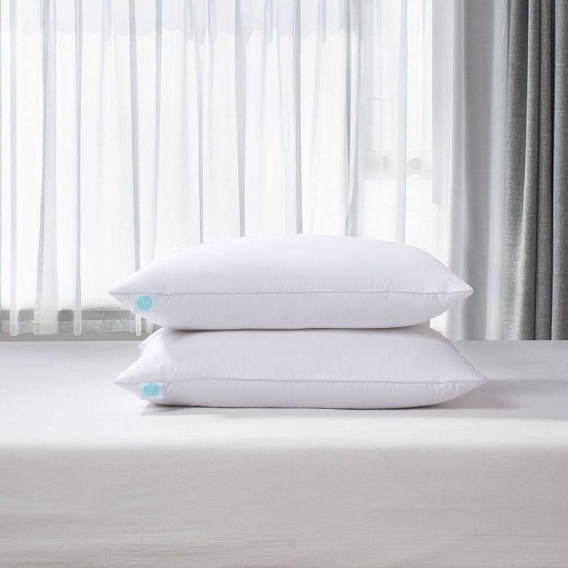 Feathers Medium Support Pillow