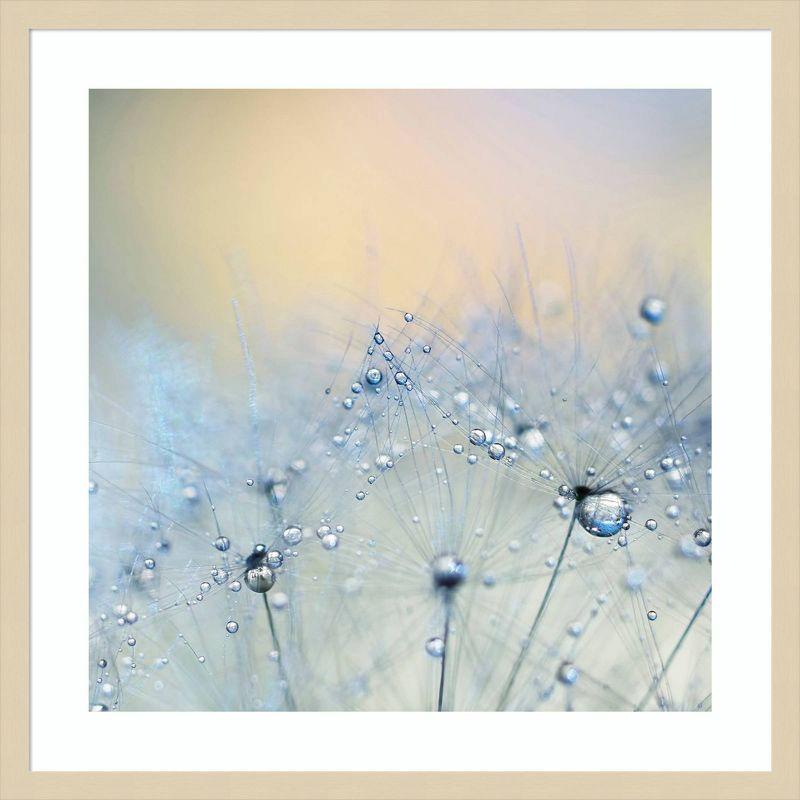 Amanti Art Ice blue by Ingrid Beddoes Framed Wall Art Print