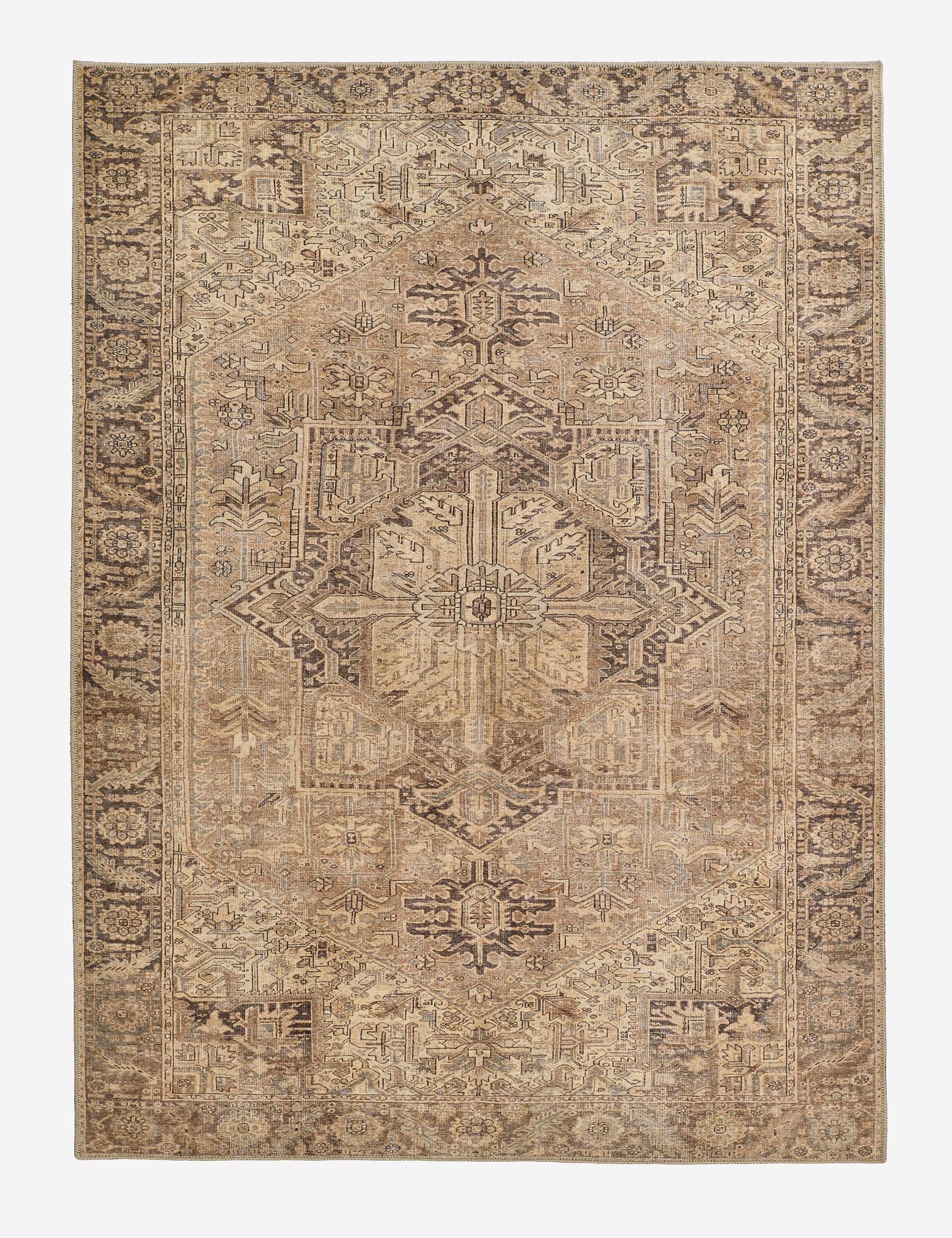 Akins Rug - 10' x 14'