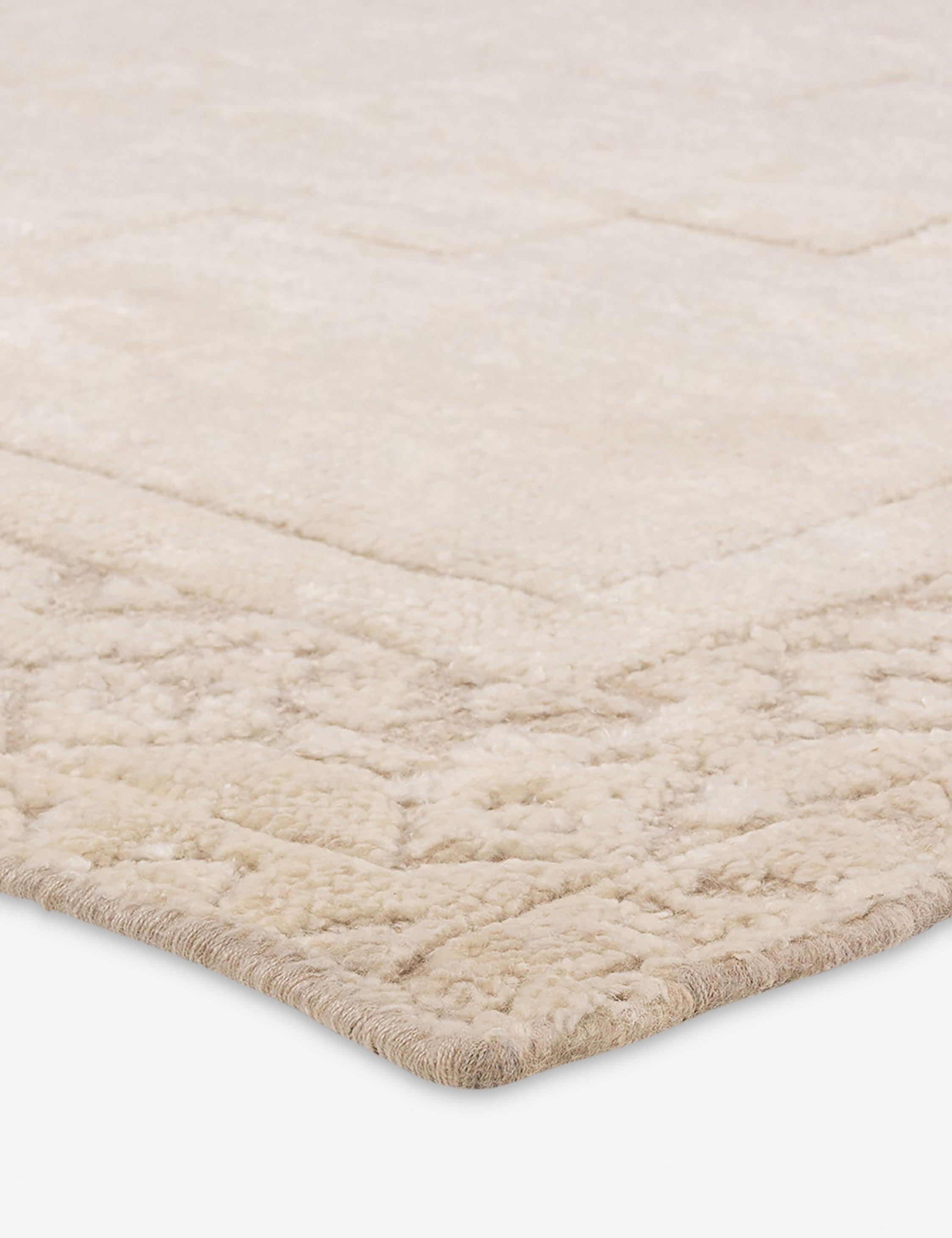 Ansa Hand-Knotted Wool-Blend Moroccan-Style Rug - 10' x 14'