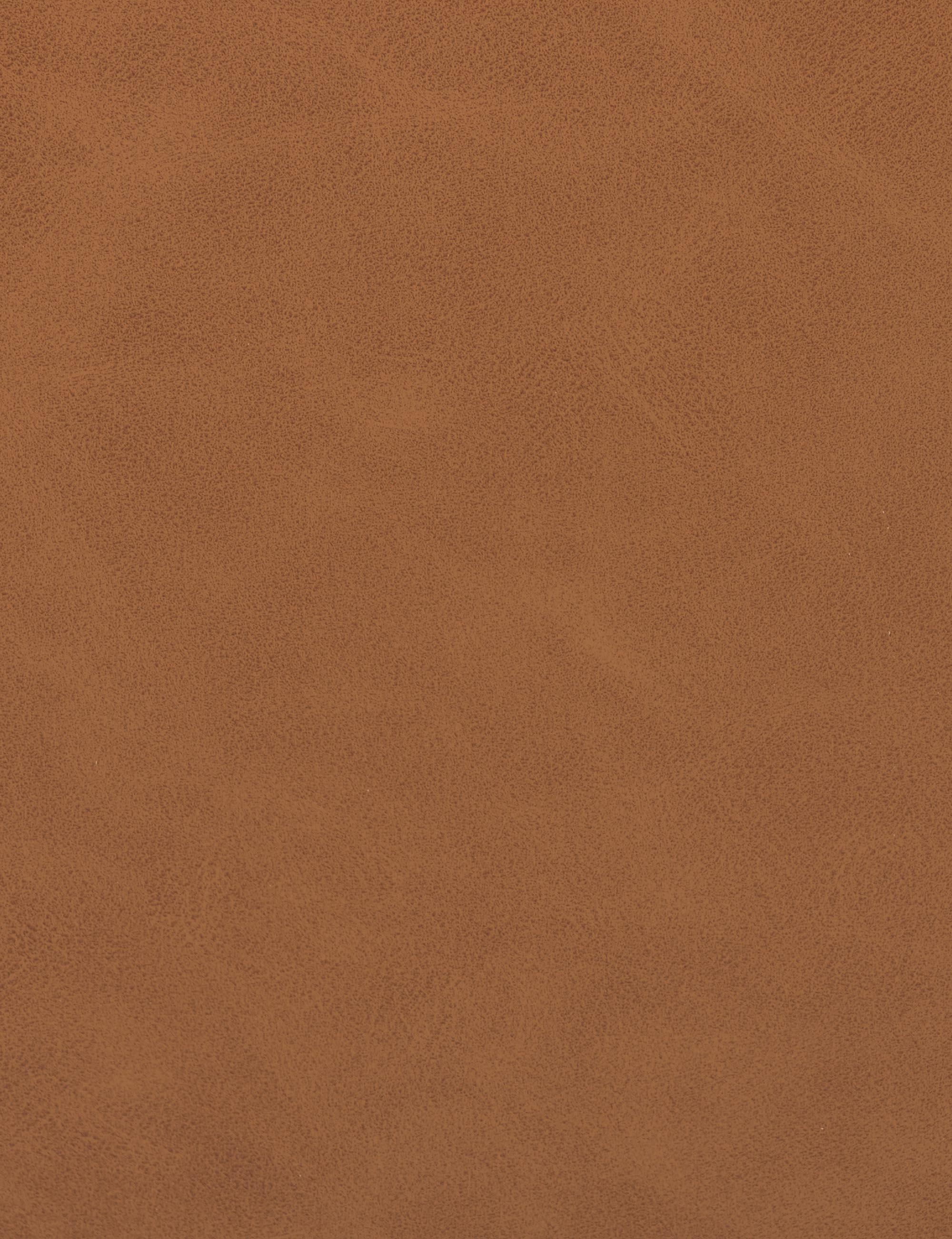 Marla Dining Chair - Tan Leather