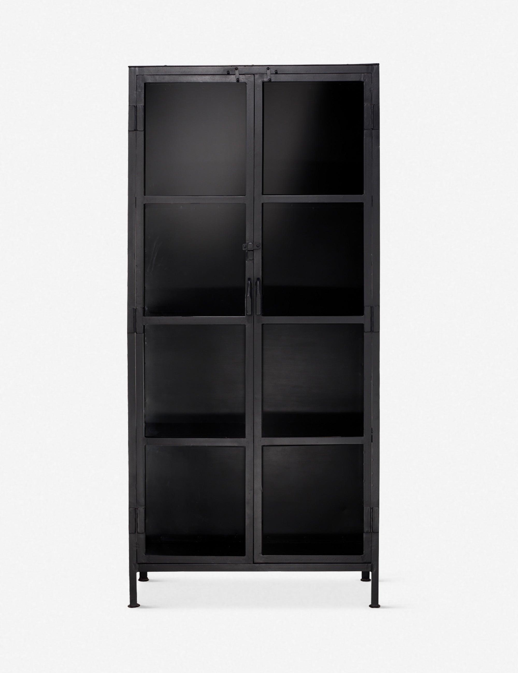 Sleek Black Metal and Glass Minimalist Curio Cabinet