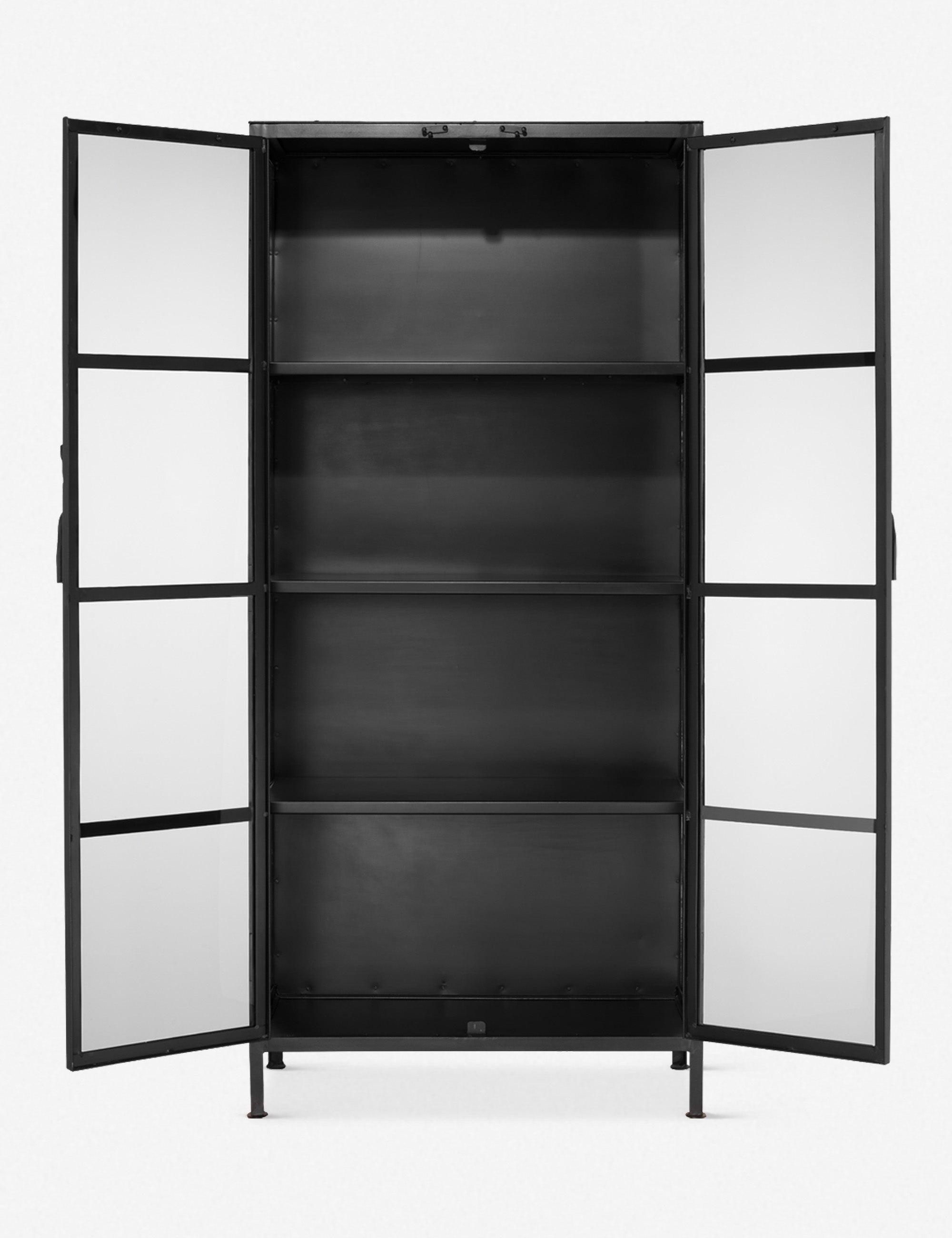 Sleek Black Metal and Glass Minimalist Curio Cabinet