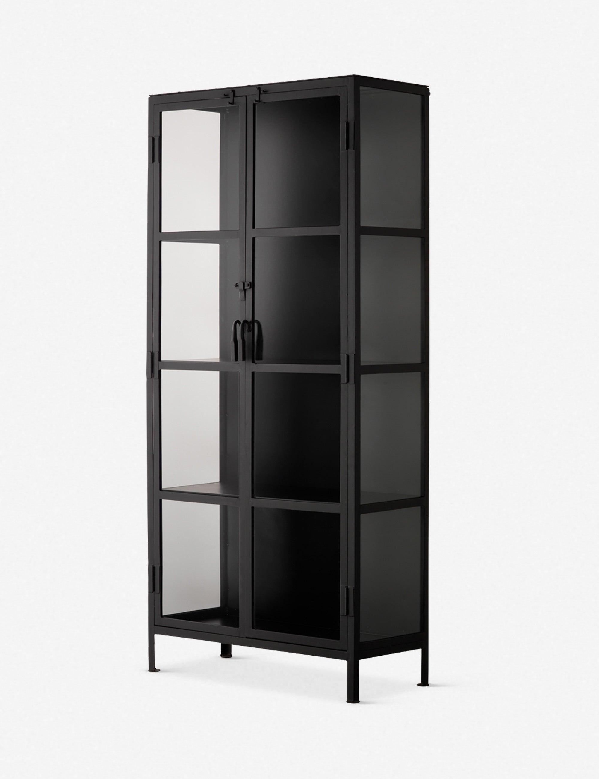 Sleek Black Metal and Glass Minimalist Curio Cabinet