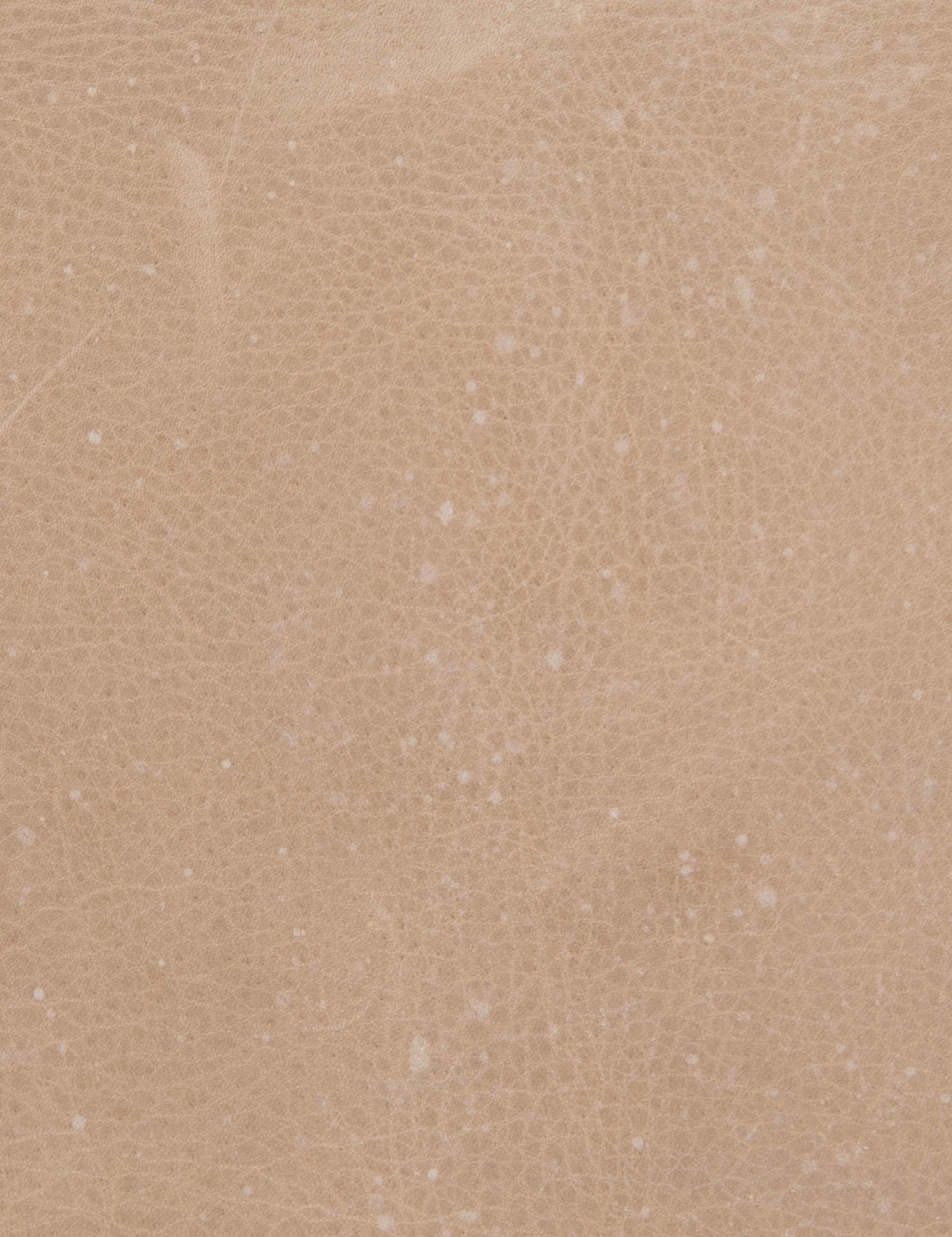 Anouk Accent Chair - Tan Leather