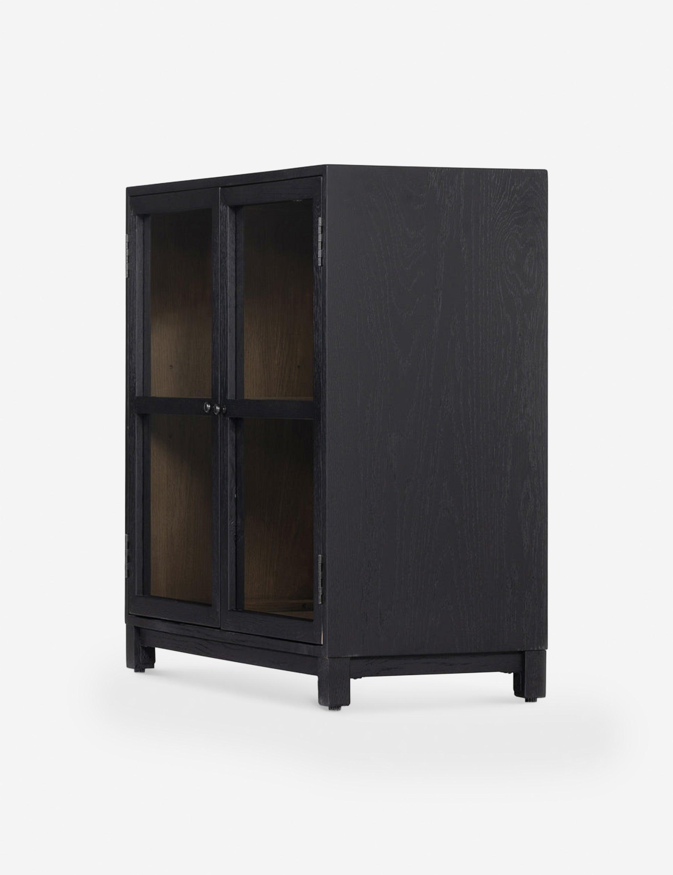 Carly Small Curio Cabinet - Black
